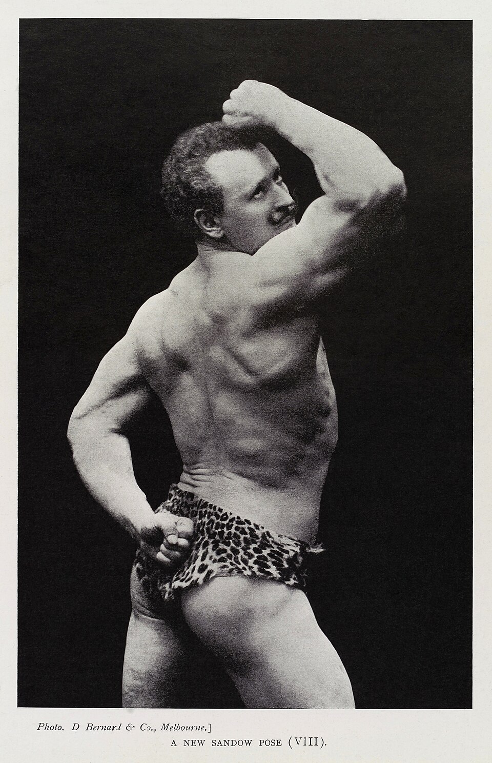 Fotografia d'epoca del forzuto Eugen Sandow in posa, 1902